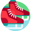 sports and competition,sports,leisure,ice skate,ice skating,winter sports